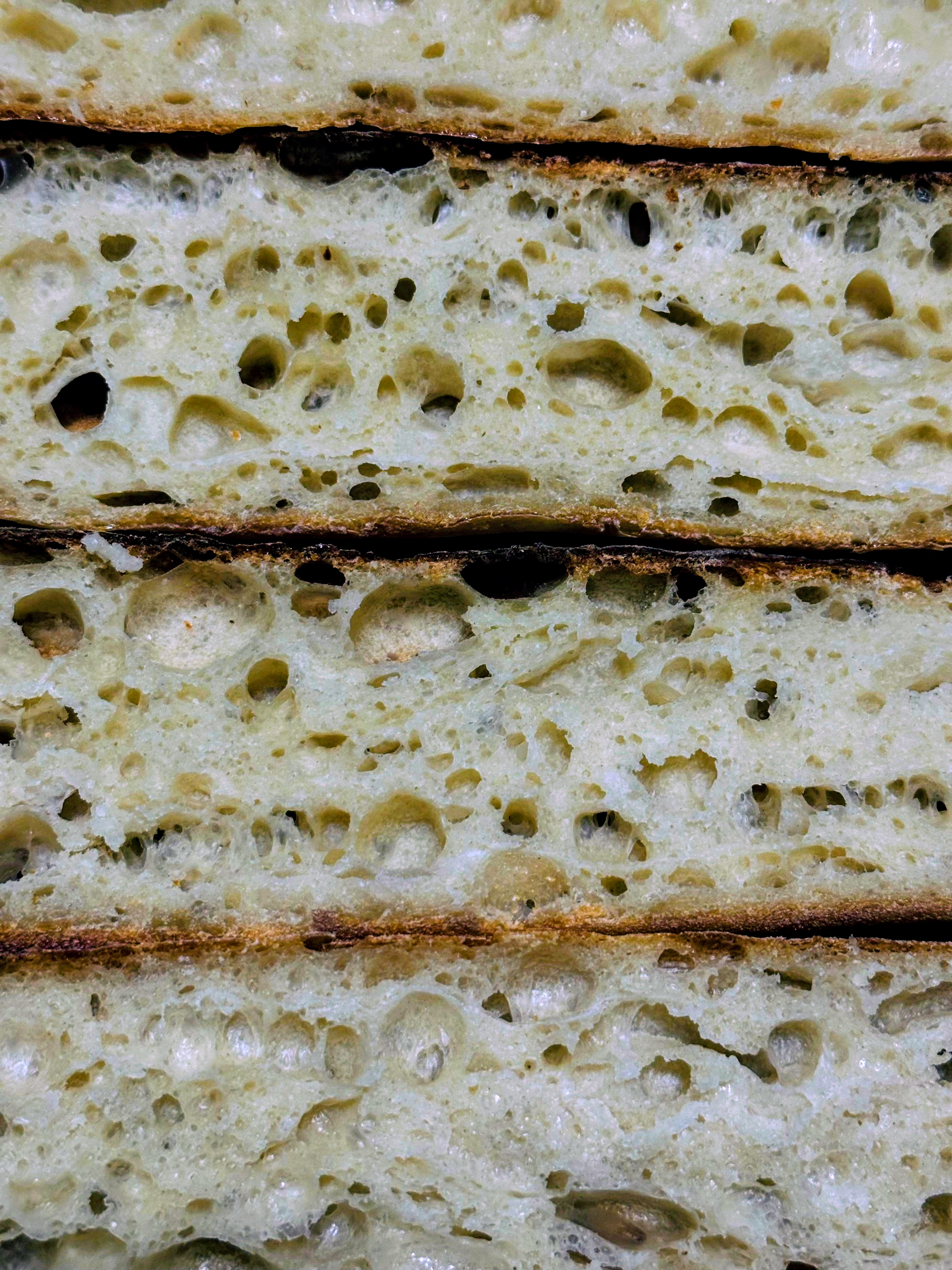 Baguette Crumb Zoom